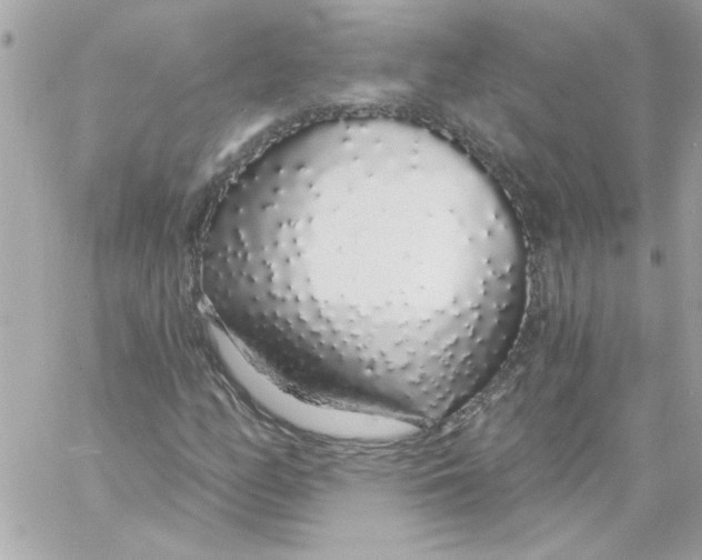 X0000057091158200510071904