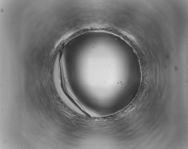 X0000057091160200510071904