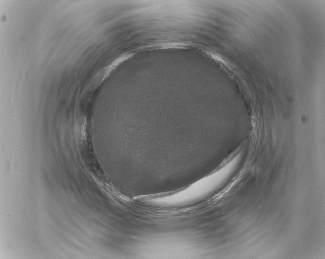 X0000057091161200510071904