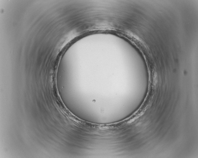 X0000057091162200510071904