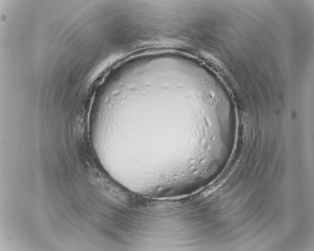 X0000057091163200510071904