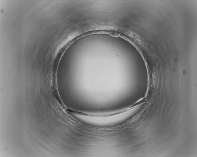 X0000057091165200510071904