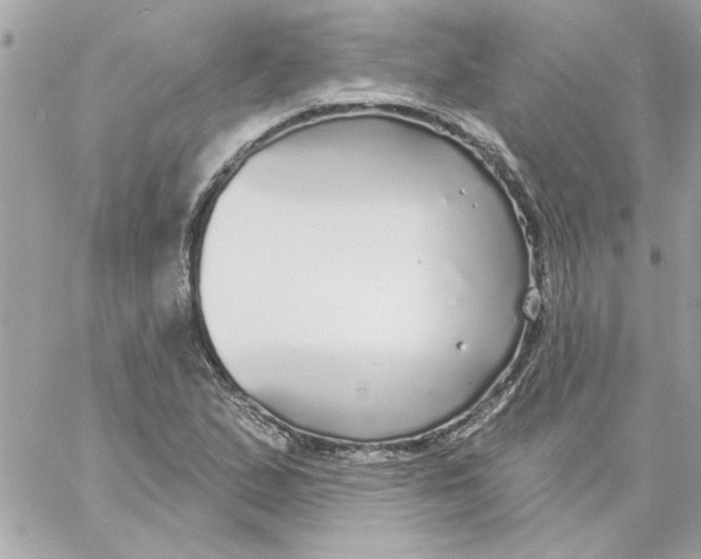 X0000057091167200510071903