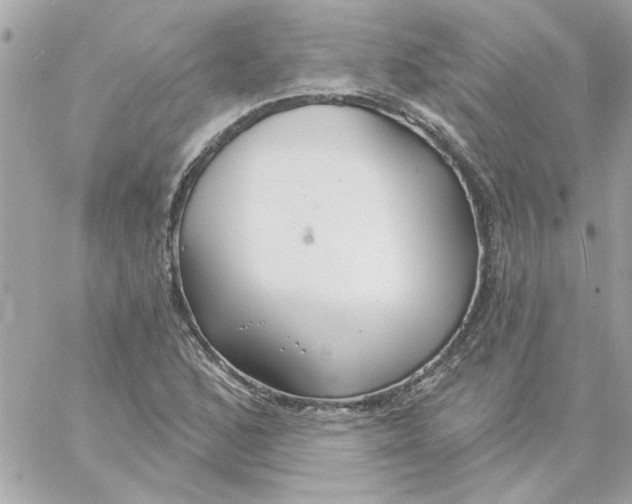 X0000057091168200510071903