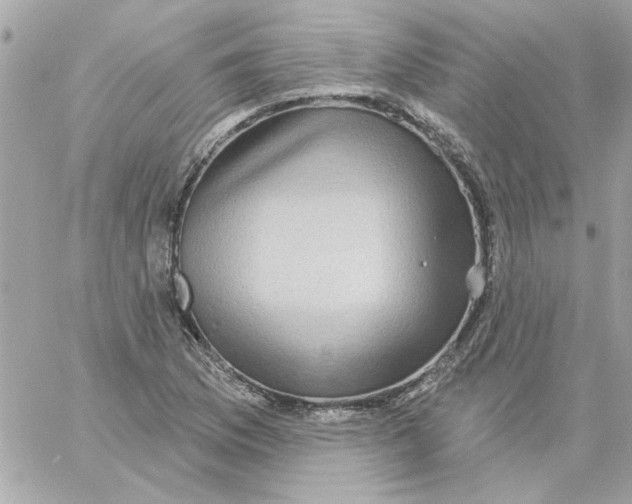 X0000057091169200510071903