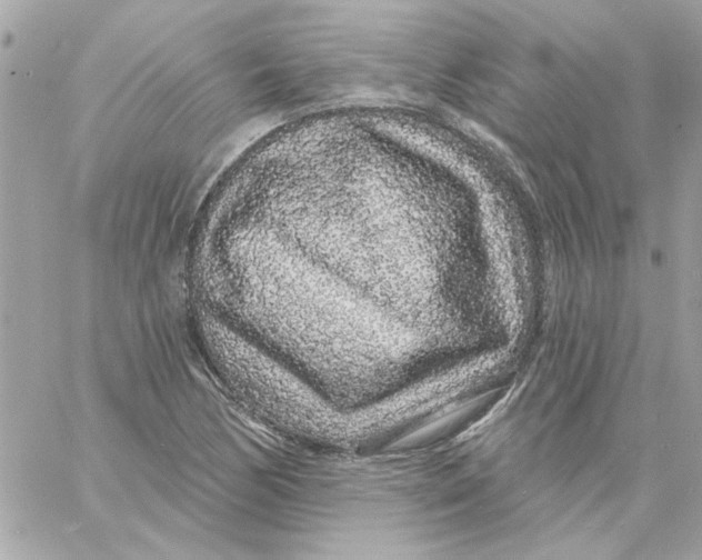 X0000057091170200510071903