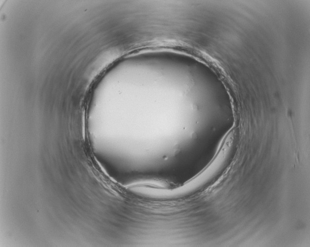 X0000057091171200510071903