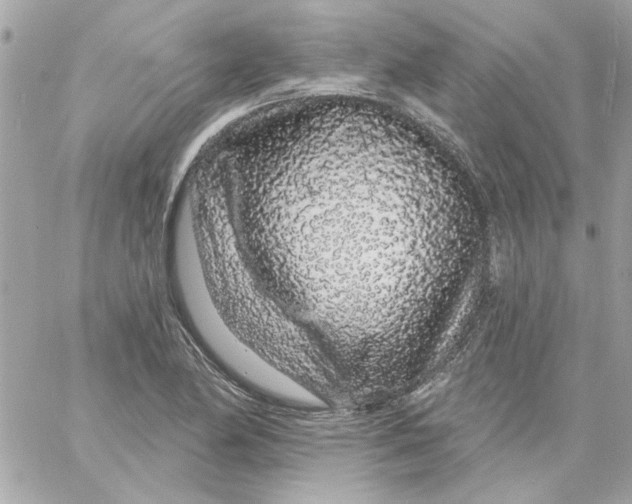 X0000057091174200510071903