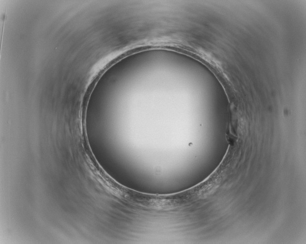 X0000057091176200510071903