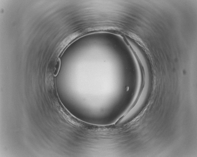 X0000057091177200510071903