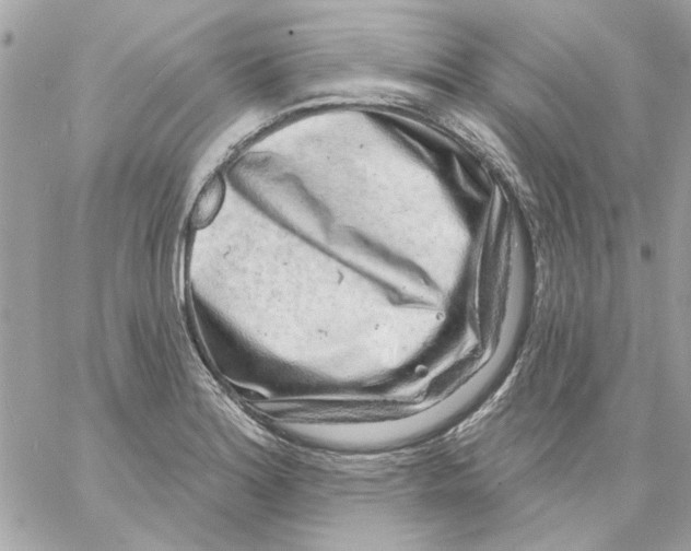 X0000057091180200510071903