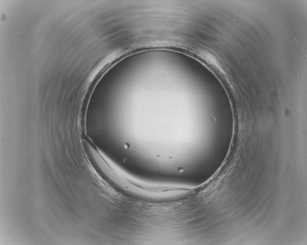 X0000057091181200510071903