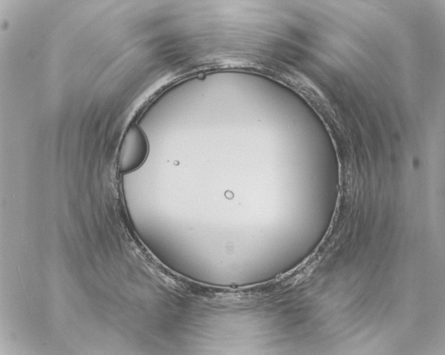 X0000057091182200510071903