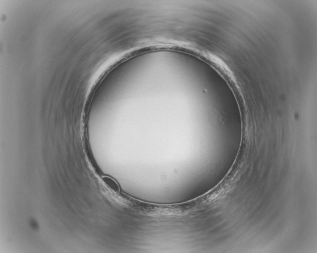 X0000057091183200510071903