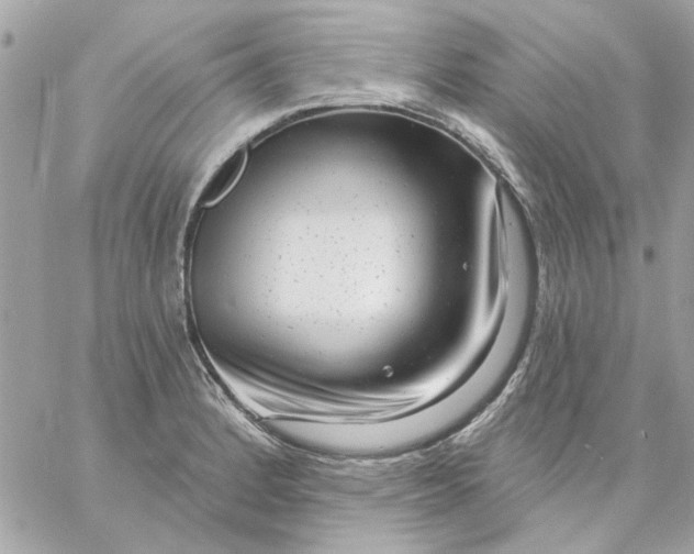 X0000057091184200510071903