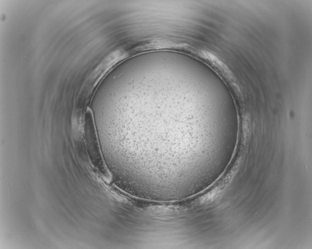 X0000057091185200510071903