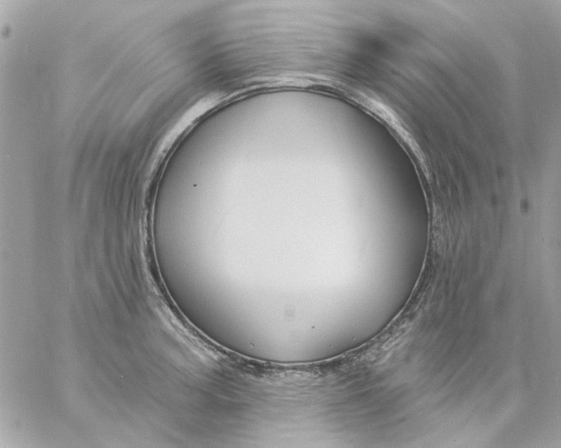 X0000057091187200510071903