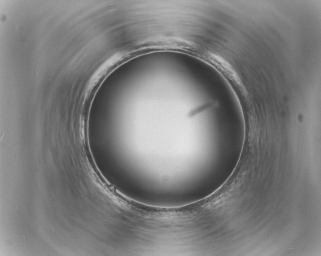 X0000057091188200510071903