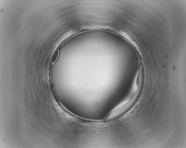 X0000057091189200510071903