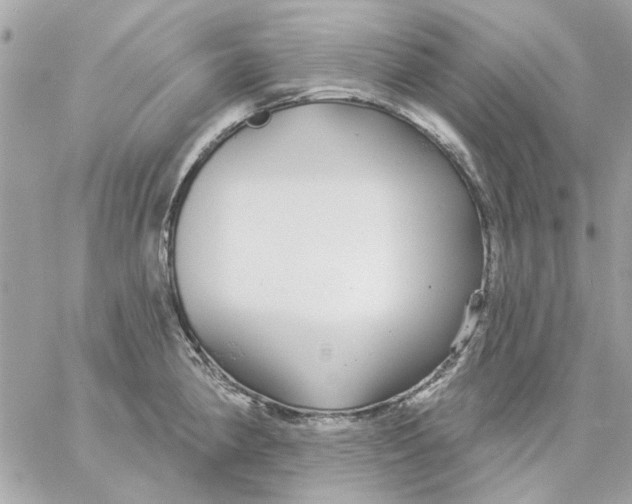 X0000057091190200510071903