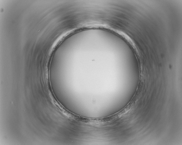 X0000057091191200510071903