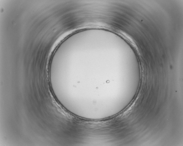 X0000057091192200510071903