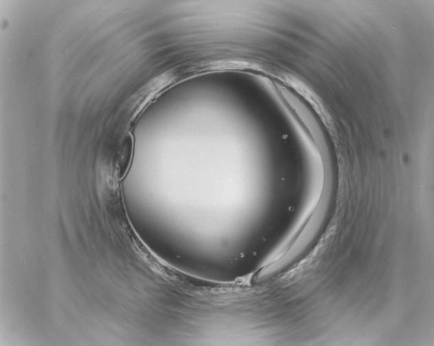 X0000057091193200510071903