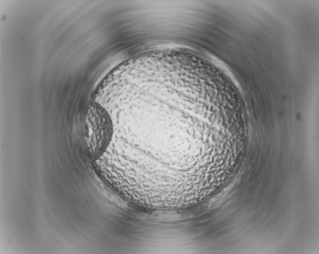 X0000057091194200510071903