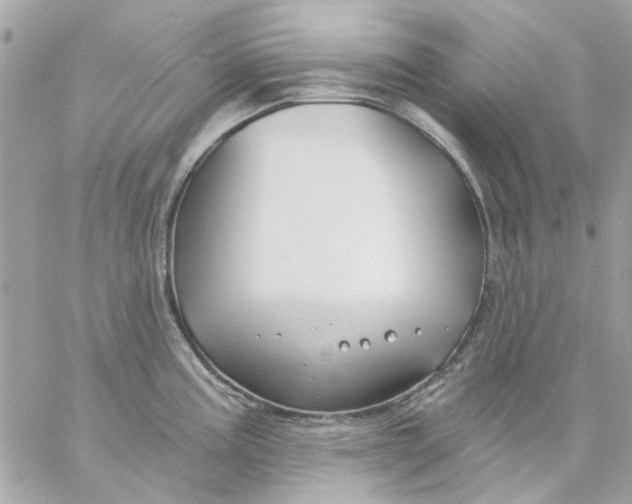 X0000057091195200510071903