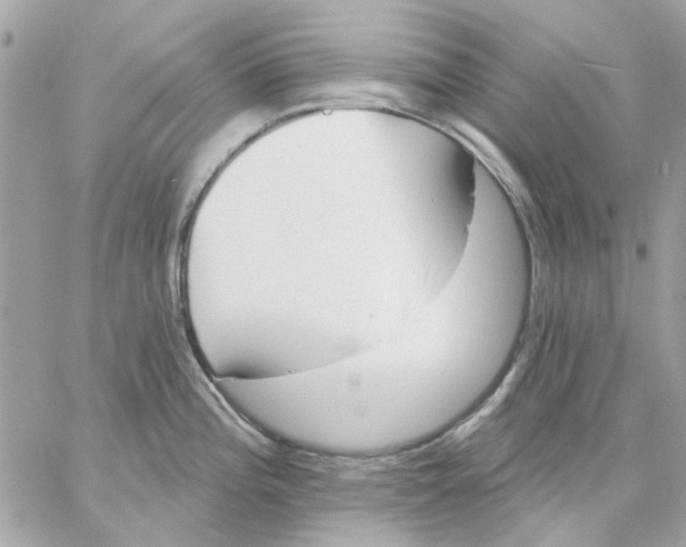 X0000057091196200510071903