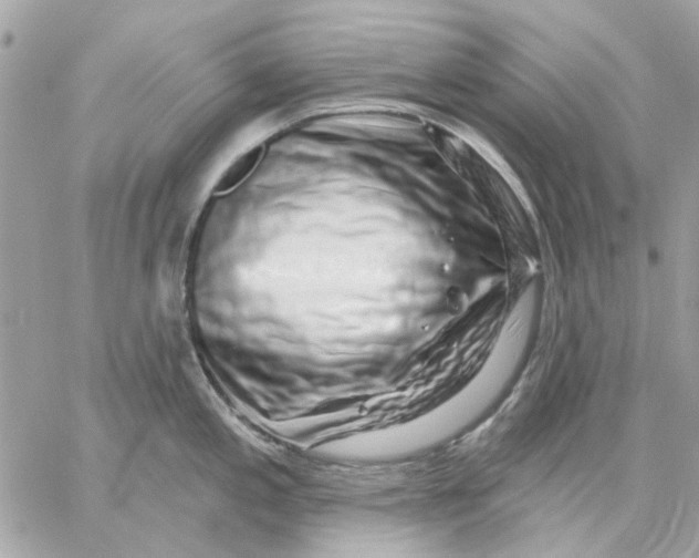 X0000057091197200510071903