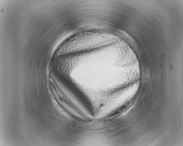 X0000057091198200510071903