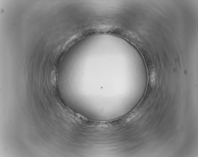 X0000057091204200510071902