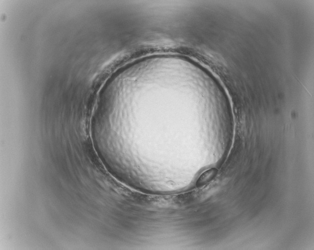 X0000057091205200510071902