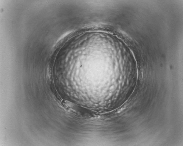 X0000057091206200510071902