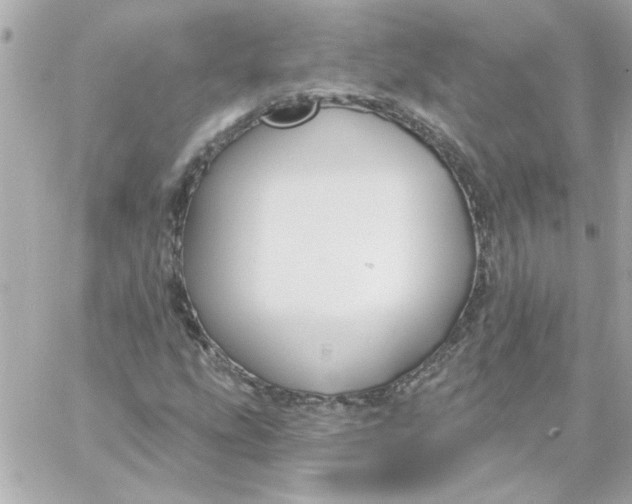 X0000057091207200510071902