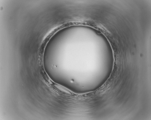 X0000057091208200510071902