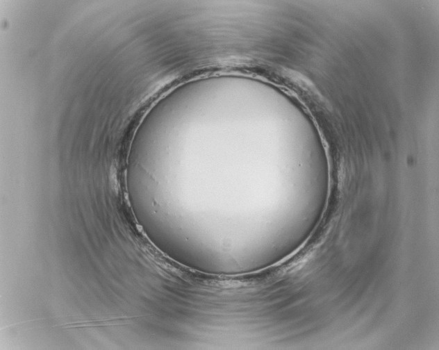 X0000057091209200510071902