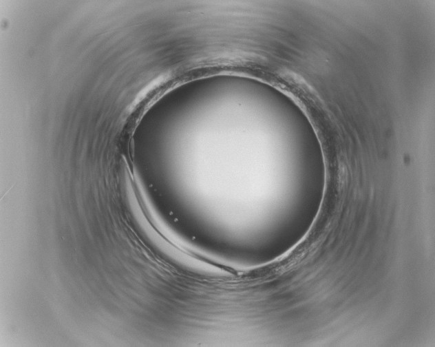 X0000057091210200510071902