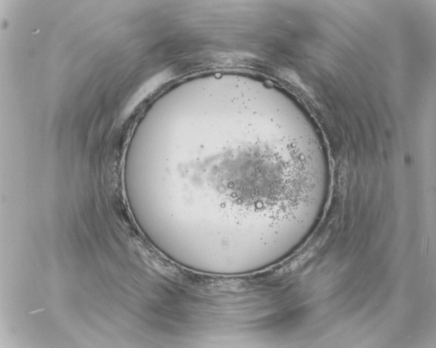 X0000057091211200510071902