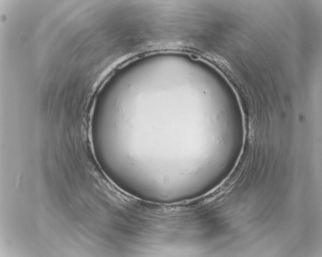 X0000057091212200510071902