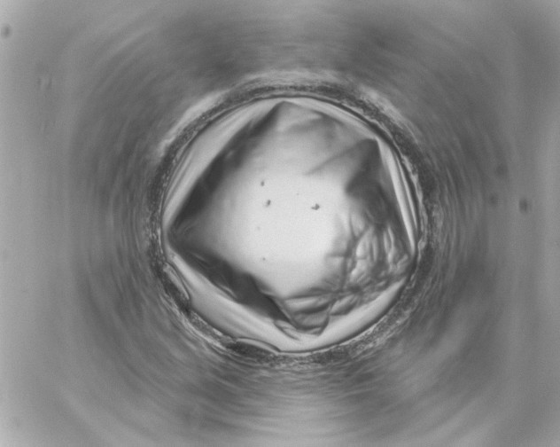 X0000057091213200510071902