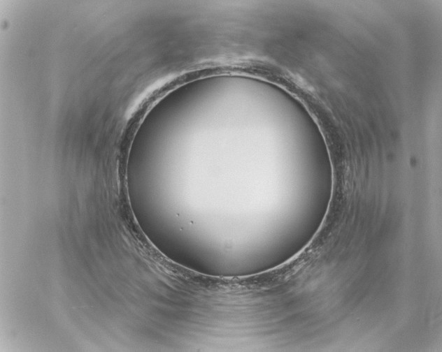 X0000057091214200510071902