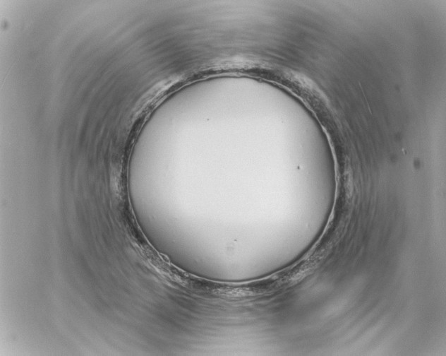 X0000057091217200510071902