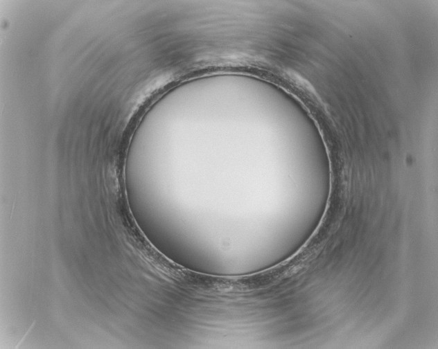 X0000057091218200510071902