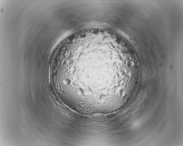 X0000057091219200510071902