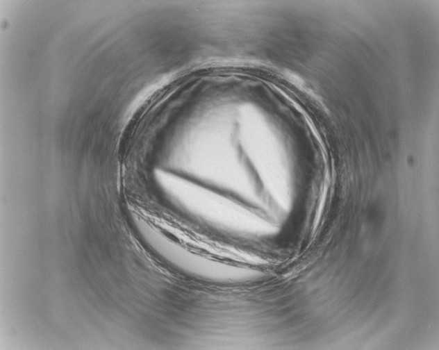 X0000057091221200510071902