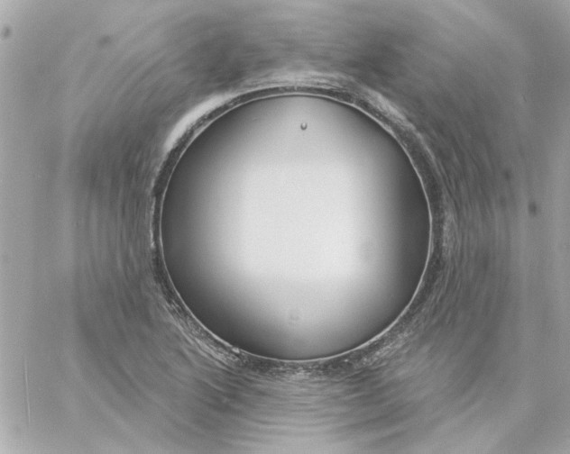 X0000057091222200510071902