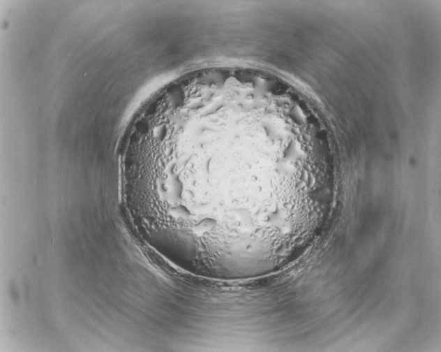 X0000057091223200510071902