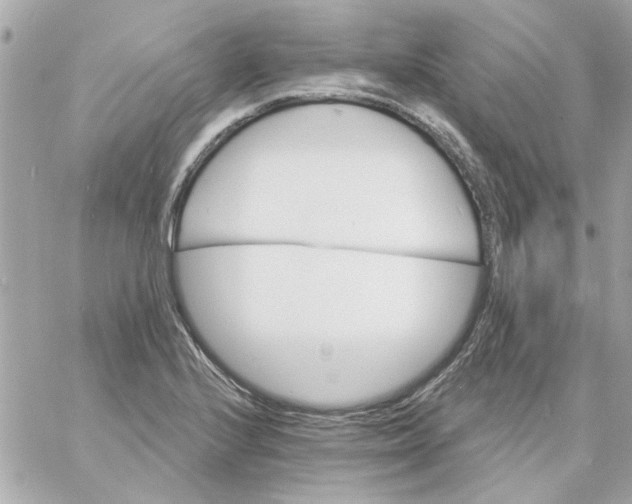 X0000057091224200510071902